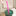 10.6 Inch Reusable Drinking Straw for starbucks cups-Next Deal Shop-Pink-Next Deal Shop