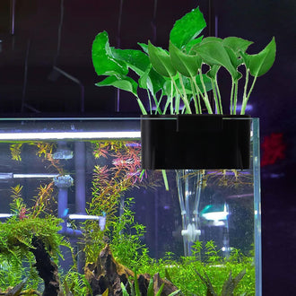 Aquarium Emerging Plant Holder