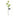 Solar Powered LED Dandelion Stake Light-Next Deal Shop-Next Deal Shop