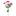 Solar Powered Snow Lotus Flower Stake Light-Next Deal Shop-Next Deal Shop